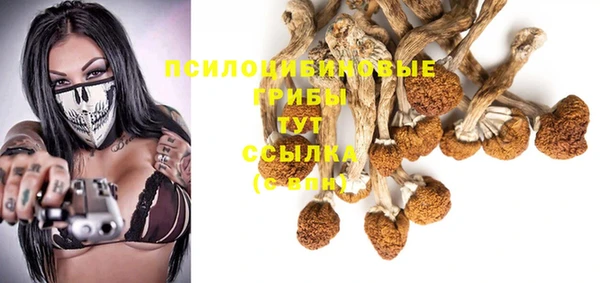 спиды Тобольск